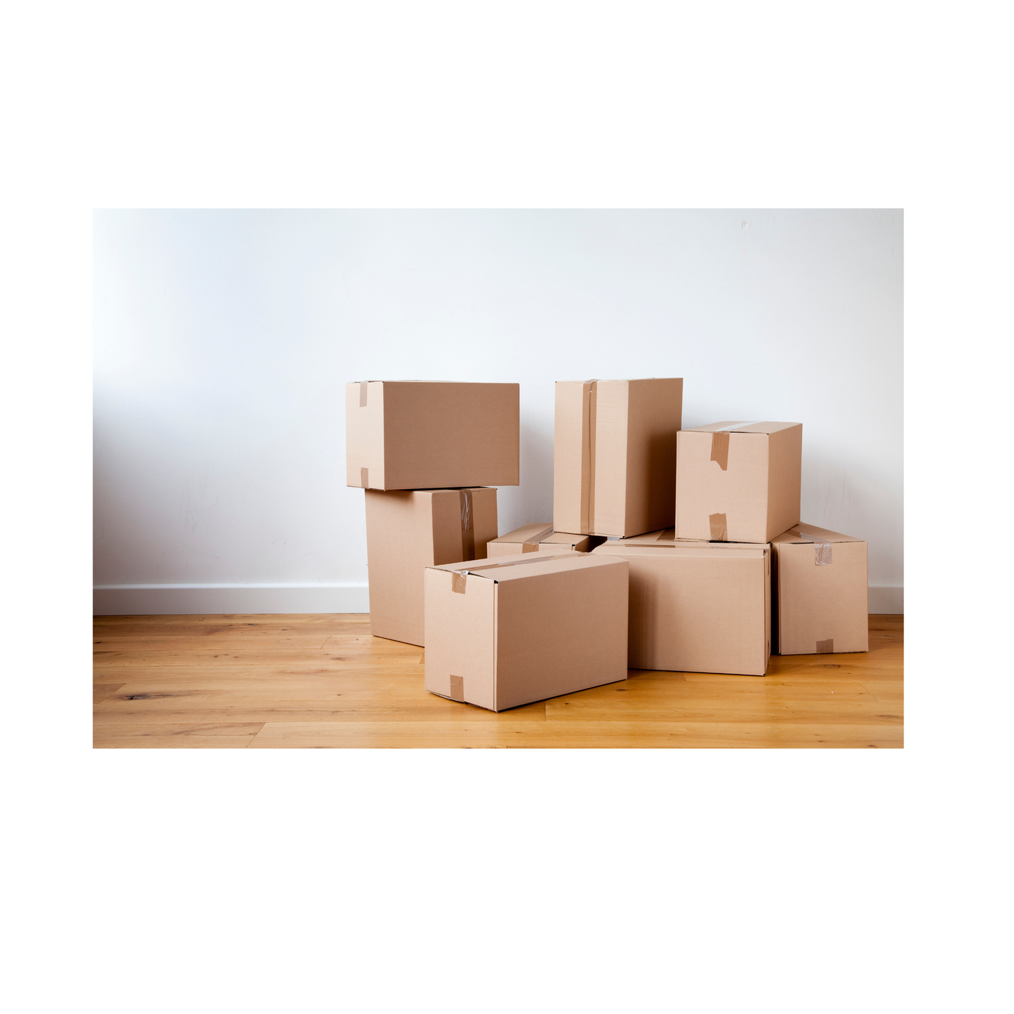 Harvard Summer Storage Bundle